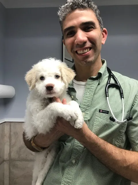 Sleepy Hollow Animal Hospital 5