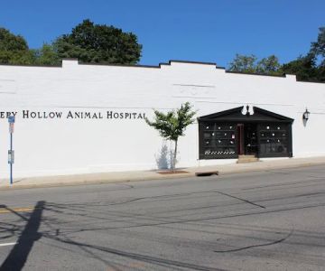 Sleepy Hollow Animal Hospital