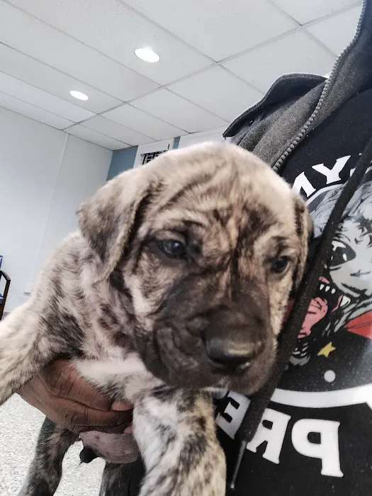 Rockland Veterinary Care - Pomona 1