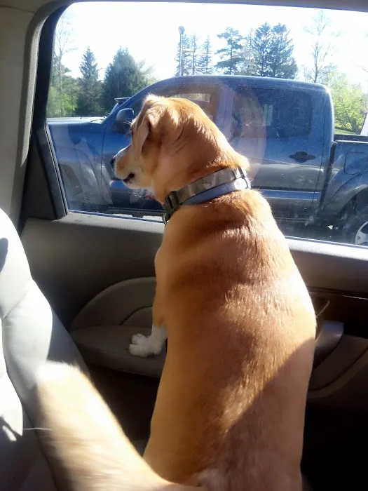 Otterkill Animal Hospital 7