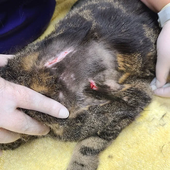 Otterkill Animal Hospital 3