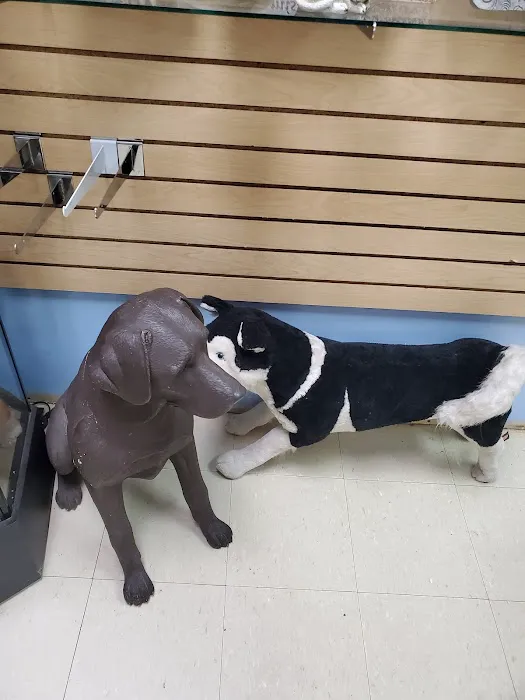 Canine Cookies N Cream Dog Bakery 3