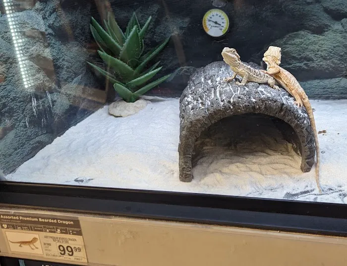Petco 6
