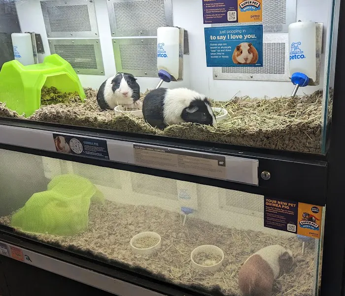 Petco 5