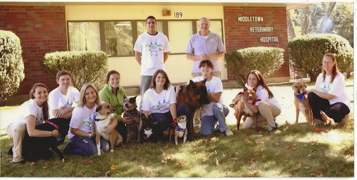 Middletown Veterinary Hospital 8