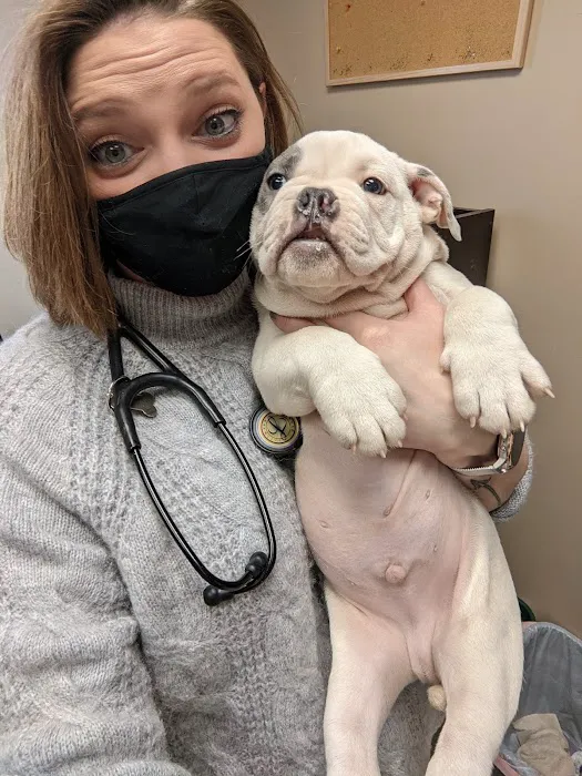 Middletown Veterinary Hospital 10