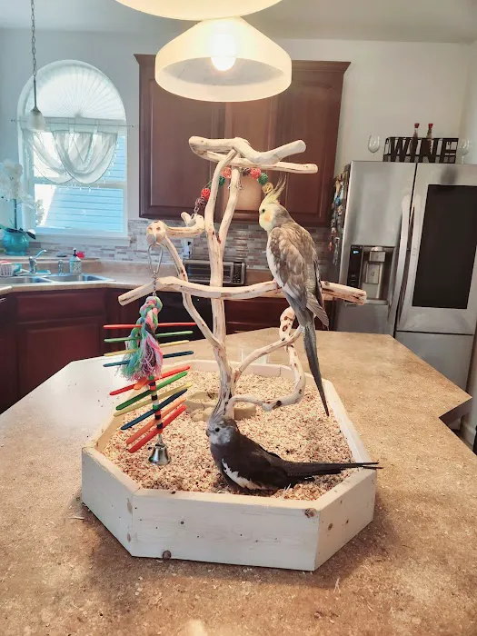 Wholesale Bird And Cage 8
