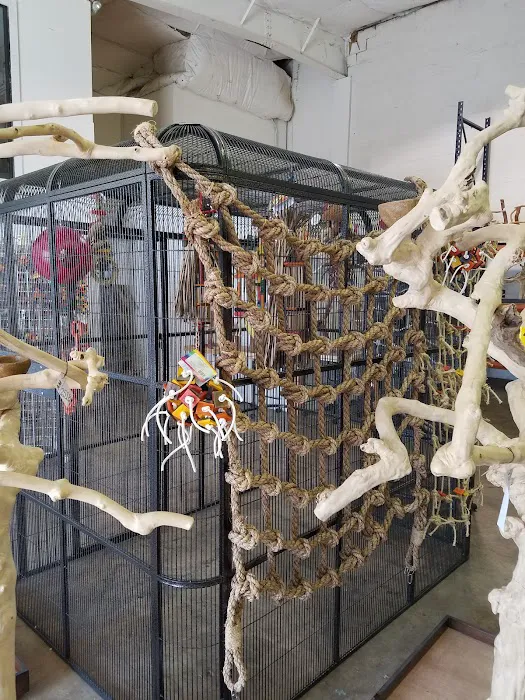 Wholesale Bird And Cage 9