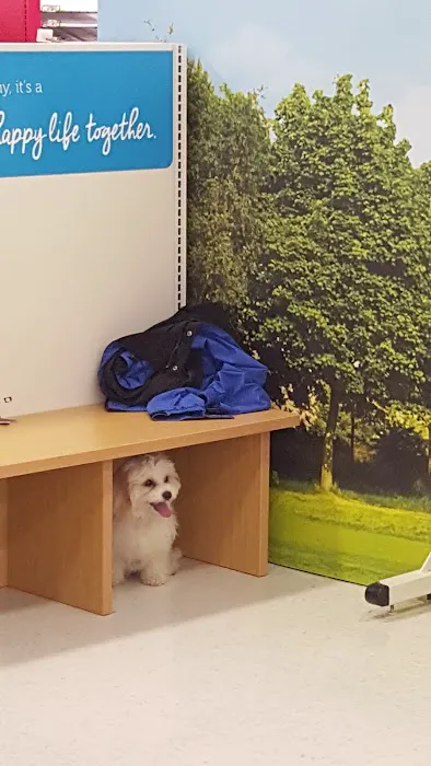 Petco 9