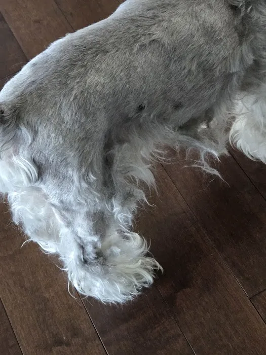 Petco 1