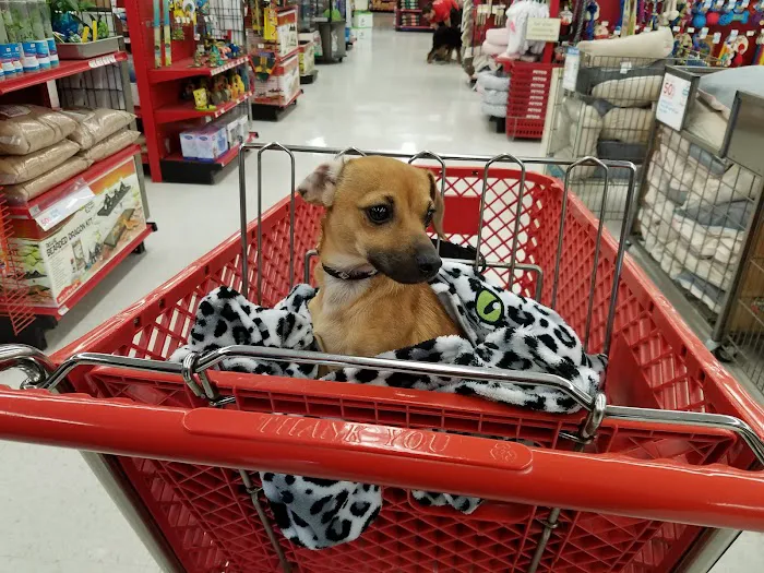 Petco 5