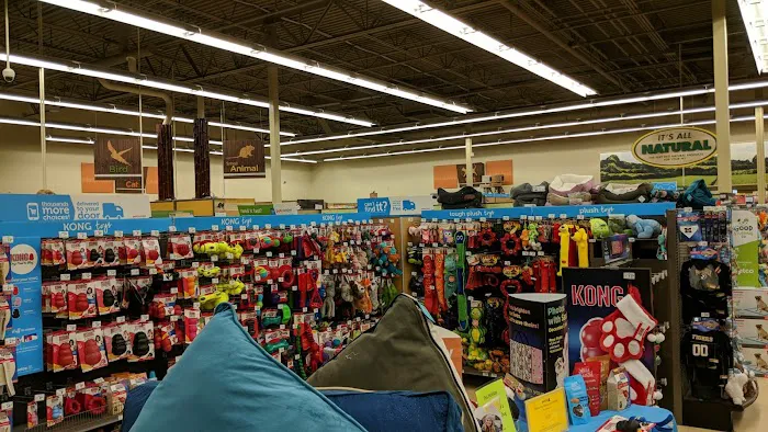 Petco 4