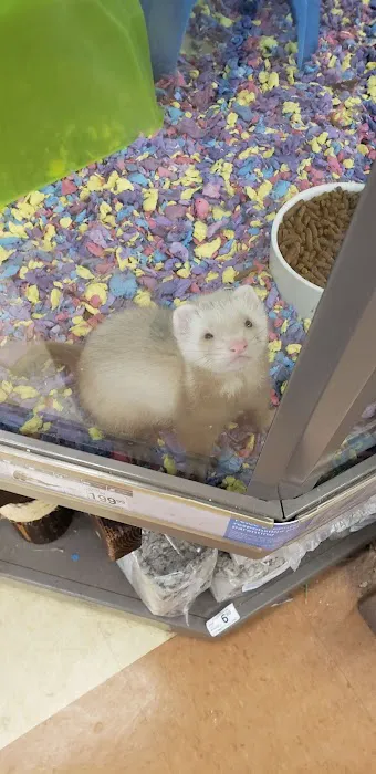 Petco 2