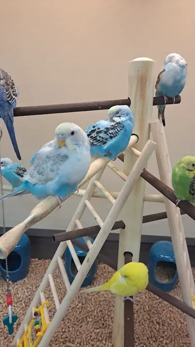 Petco 1