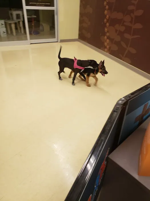 Petco 8