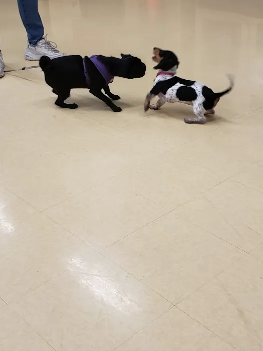 Petco 3