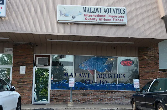 Malawi Aquatics 2