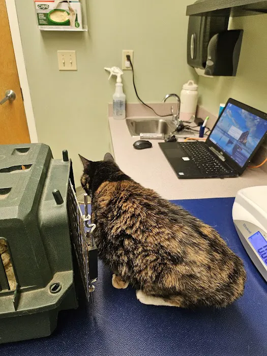 Ani-Mall Pet Hospital 10