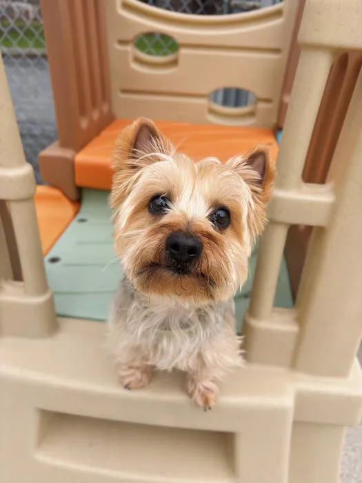 Ani-Mall Pet Hospital 7