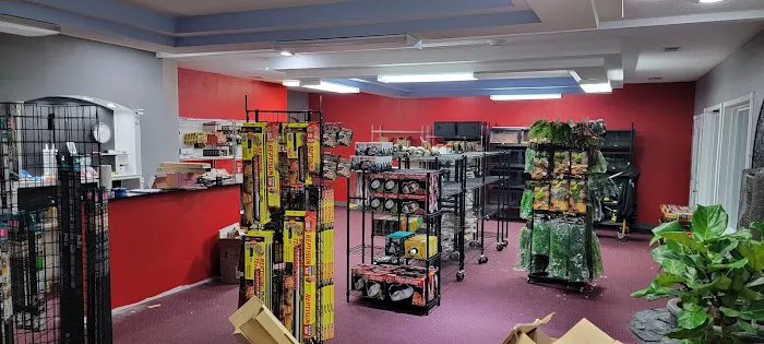 Show Me Reptile Shop STP 7
