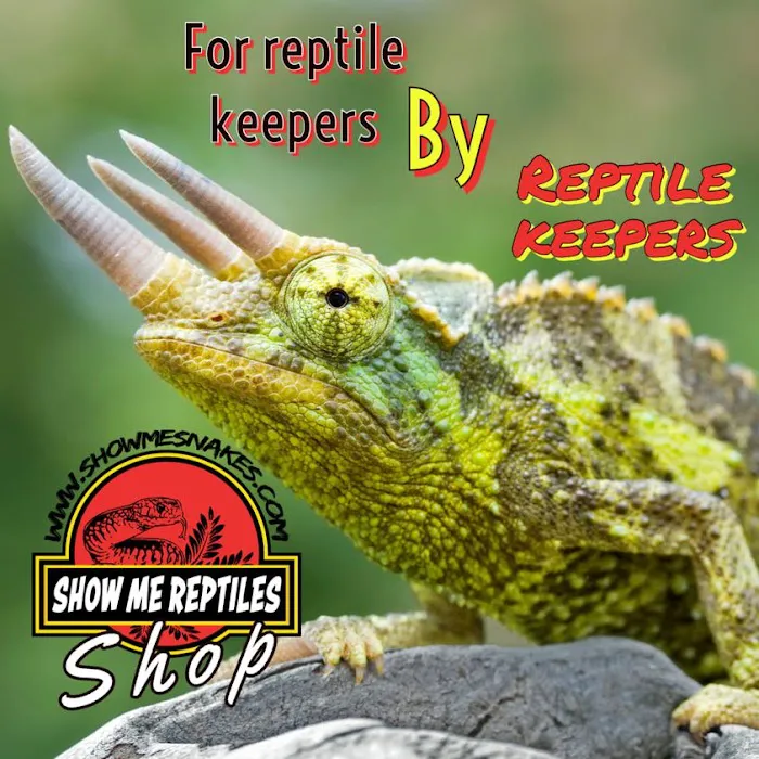 Show Me Reptile Shop STP 9