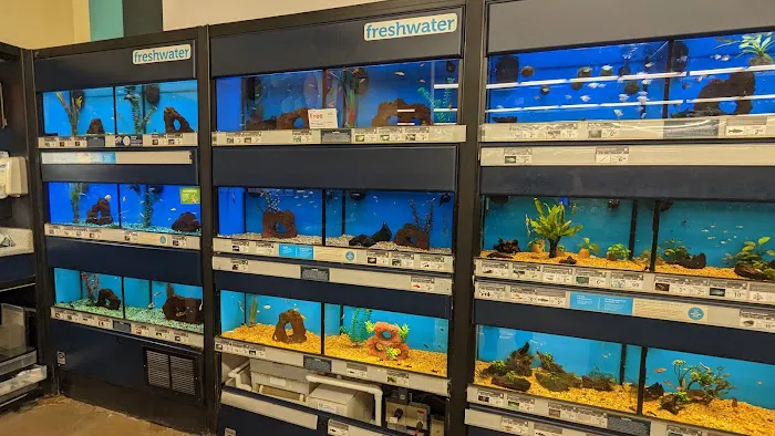 Petco 4