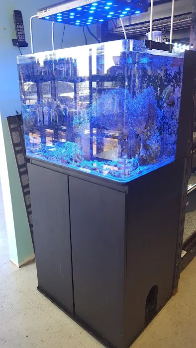 Corals & More 2