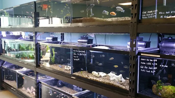 Corals & More 6