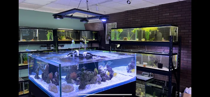 Corals & More 9