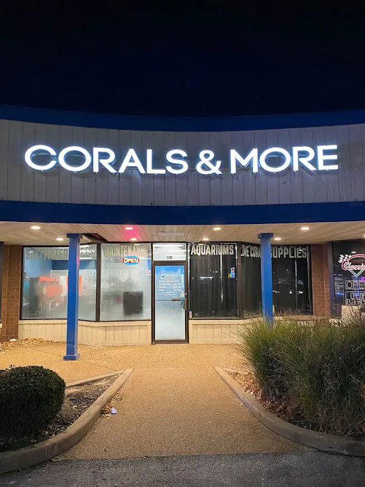 Corals & More 8