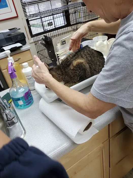 Main Street Veterinary Clinic 3