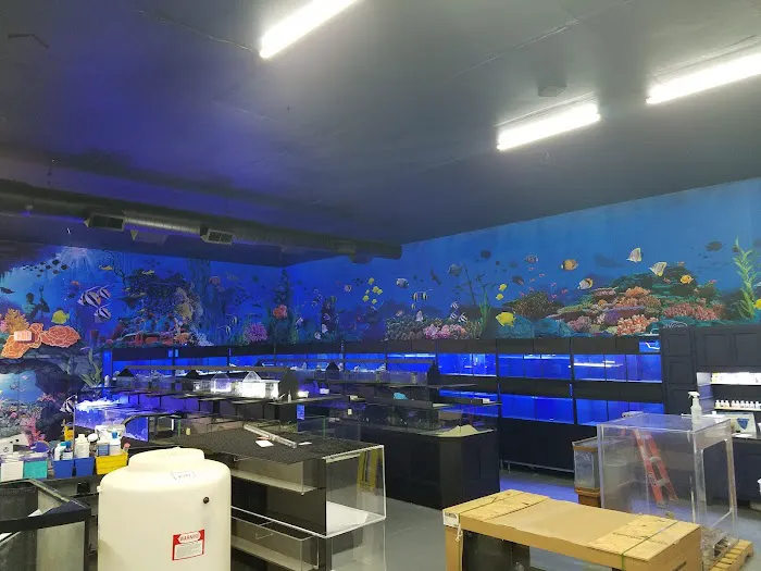 Marine Solutions 7