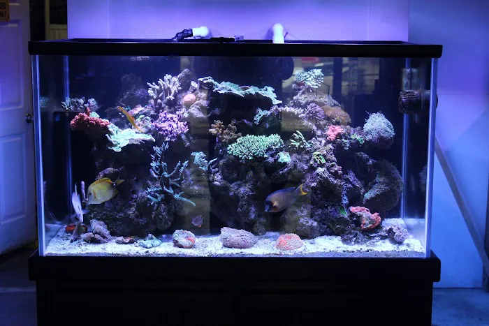 Marine Solutions 10