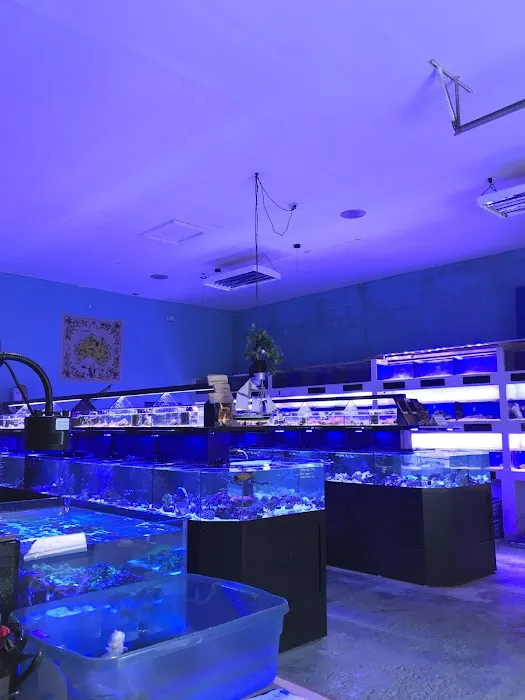 Marine Solutions 9