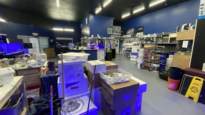 Marine Solutions 2