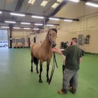 USDA NEW YORK ANIMAL IMPORT CENTER ico