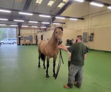 USDA NEW YORK ANIMAL IMPORT CENTER
