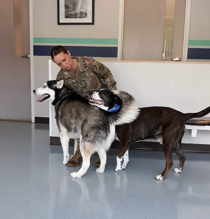 VCA Flannery Animal Hospital 7