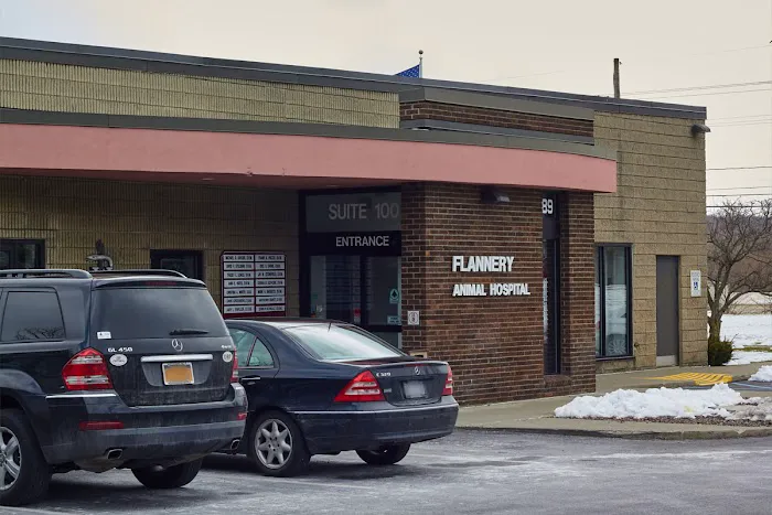 VCA Flannery Animal Hospital 6