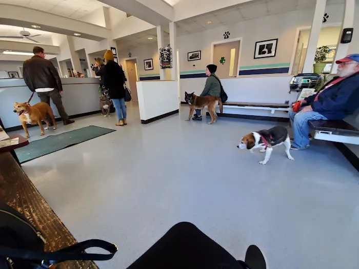 VCA Flannery Animal Hospital 10