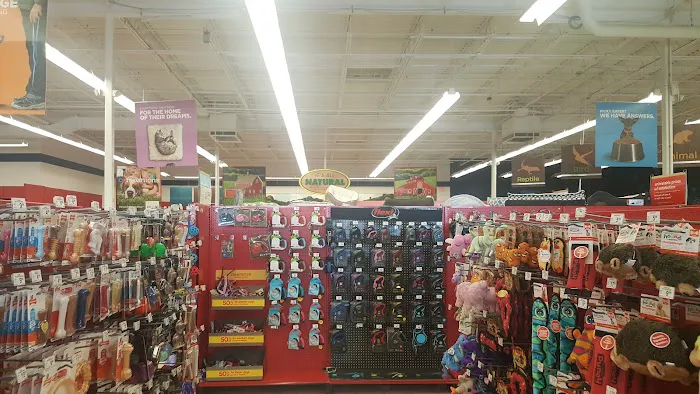 Petco 3