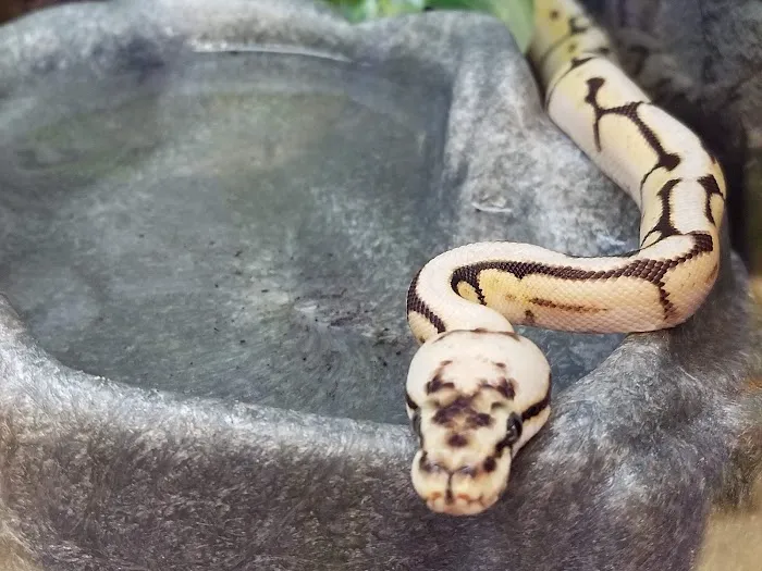 Petco 10