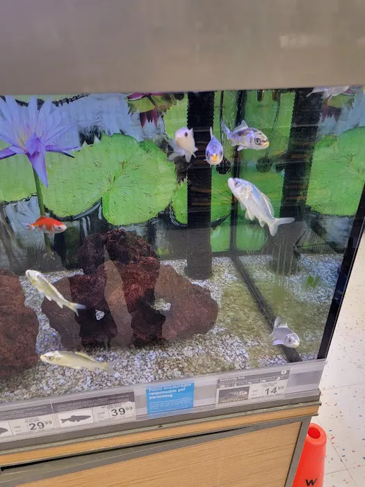 Petco 6