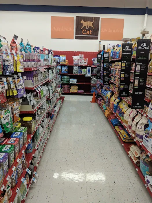 Petco 2