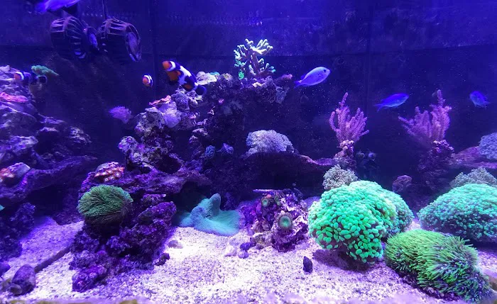 Take-Away Coral LLC 1