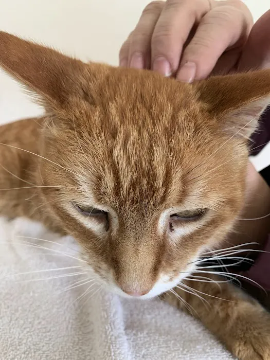 Stone Cottage Veterinary Hospital 9