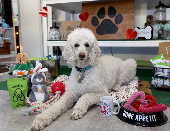 Gus's Place Dog Store 6