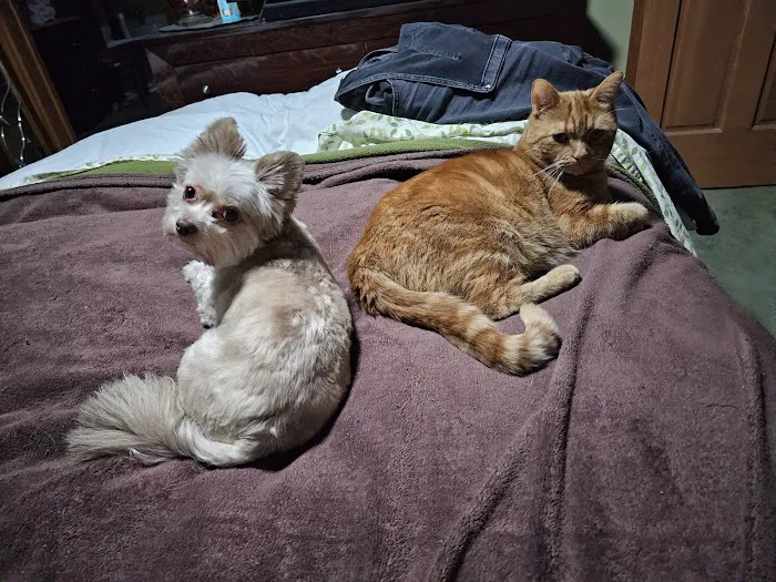Banfield Pet Hospital 8