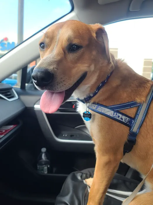Banfield Pet Hospital 7