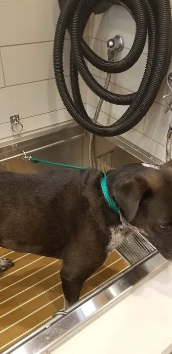 Petco 3